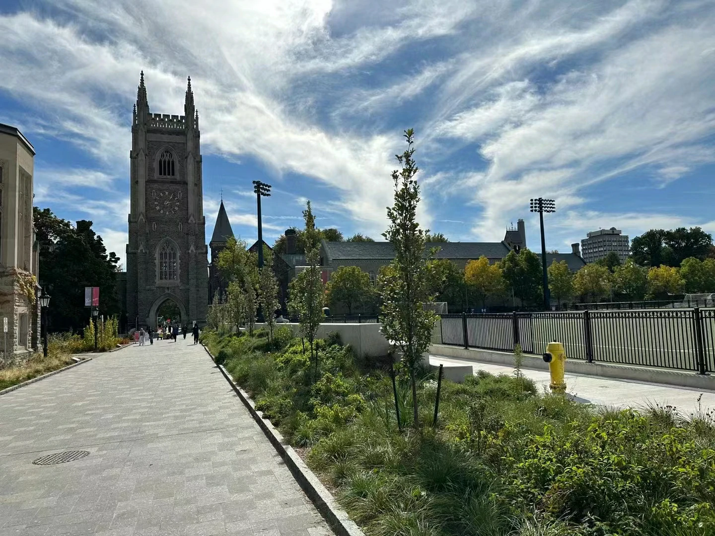 多伦多大学校园景色